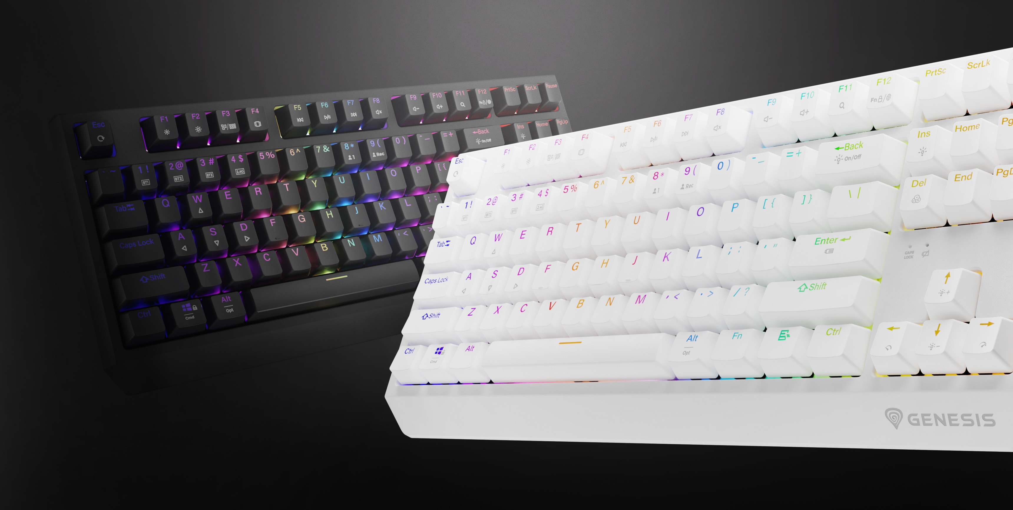 Sunt prezentate două tastaturi mecanice fără fir Genesis Thor 230 TKL, una albă și una neagră, cu efecte de retroiluminare RGB